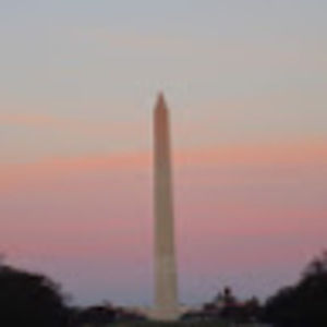 Meet your Posher, Genevieve